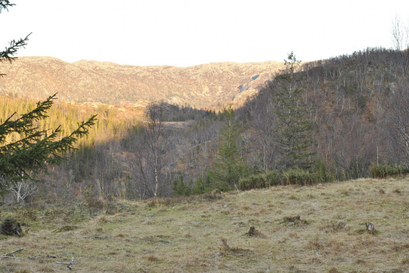 Окрестности Brønnøysund это не только Torghatten