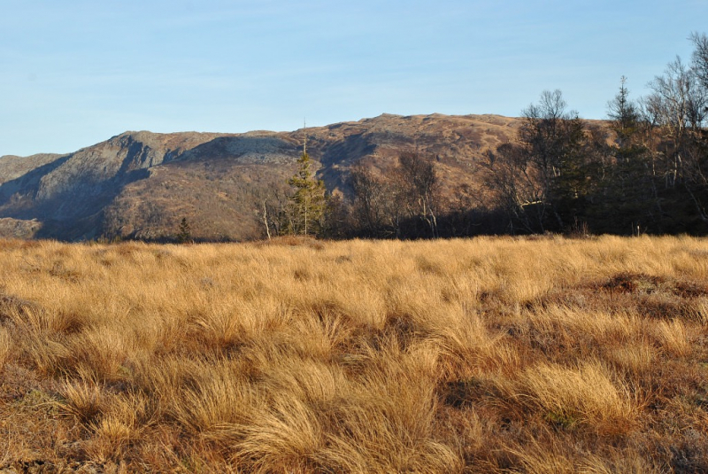 Окрестности Brønnøysund это не только Torghatten