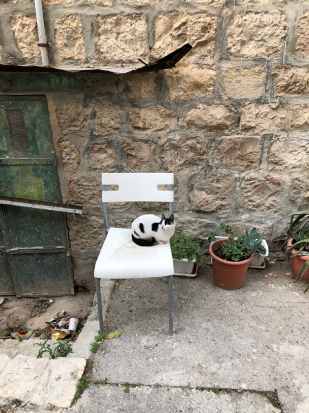 Hadera–Jerusalem-Ein Gedi-Be'er Sheva-Tel Aviv или А почему бы таки не доехать до Израиля в декабре? Hadera–Jerusalem-Ein Gedi-Be'er Sheva-Tel Aviv или А почему бы таки не доехать до Израиля в декабре?