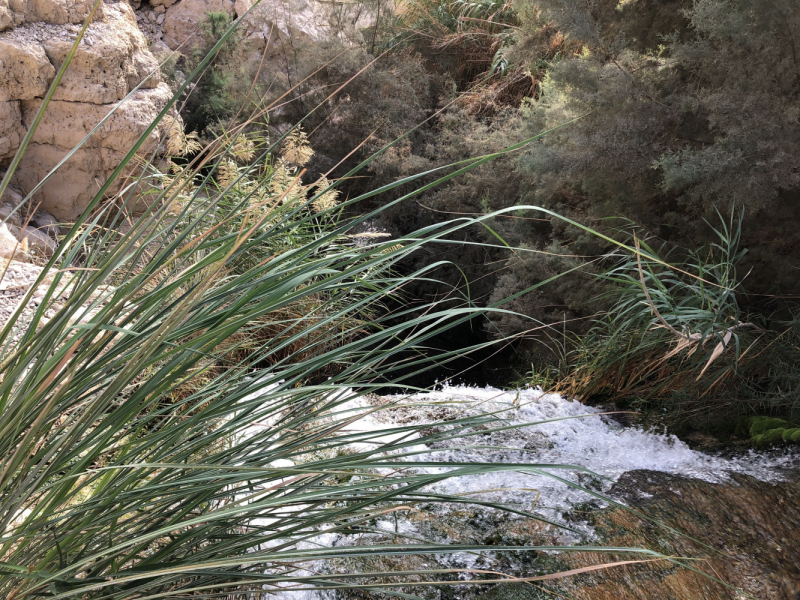 Hadera–Jerusalem-Ein Gedi-Be'er Sheva-Tel Aviv или А почему бы таки не доехать до Израиля в декабре? Hadera–Jerusalem-Ein Gedi-Be'er Sheva-Tel Aviv или А почему бы таки не доехать до Израиля в декабре?