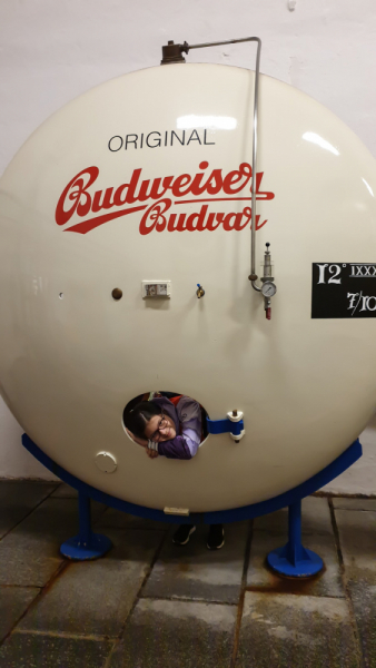 Ческе Будеевице