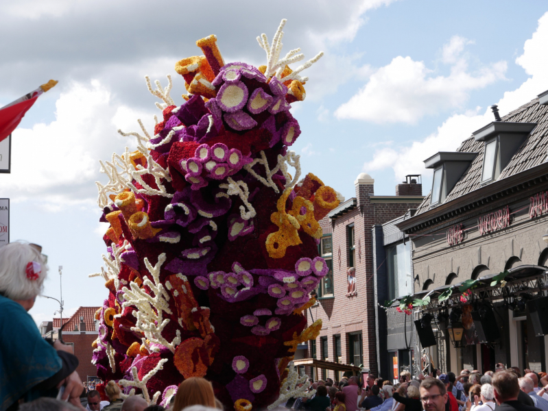 Цветочные парады Varend Corso (2017) и Corso Zundert (2017,2019) в Нидерландах