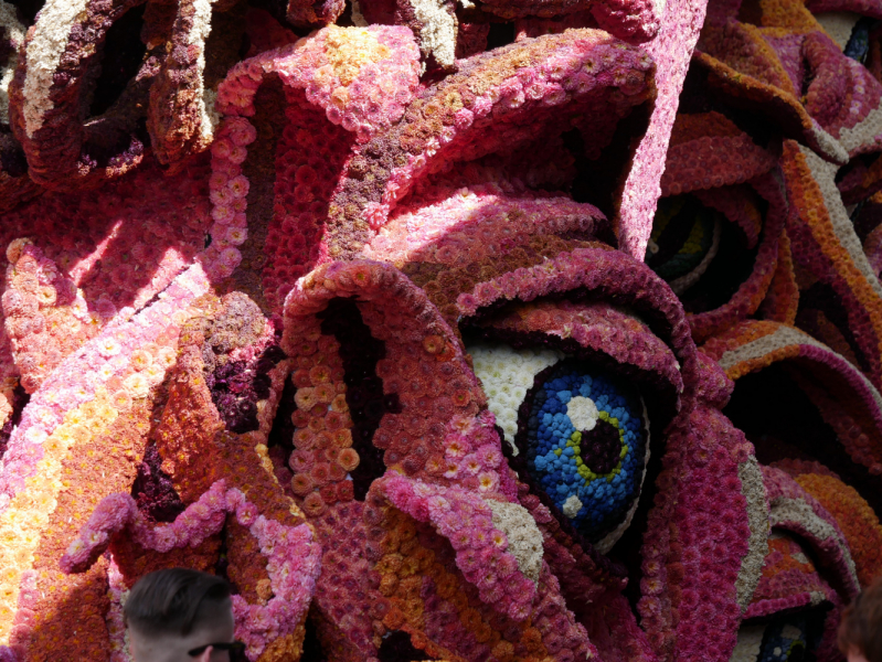 Цветочные парады Varend Corso (2017) и Corso Zundert (2017,2019) в Нидерландах