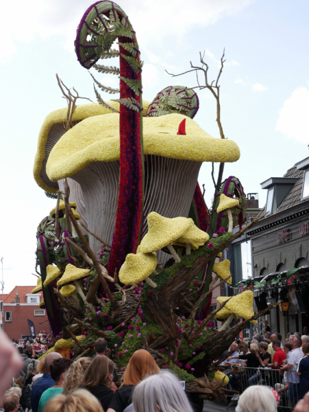 Цветочные парады Varend Corso (2017) и Corso Zundert (2017,2019) в Нидерландах