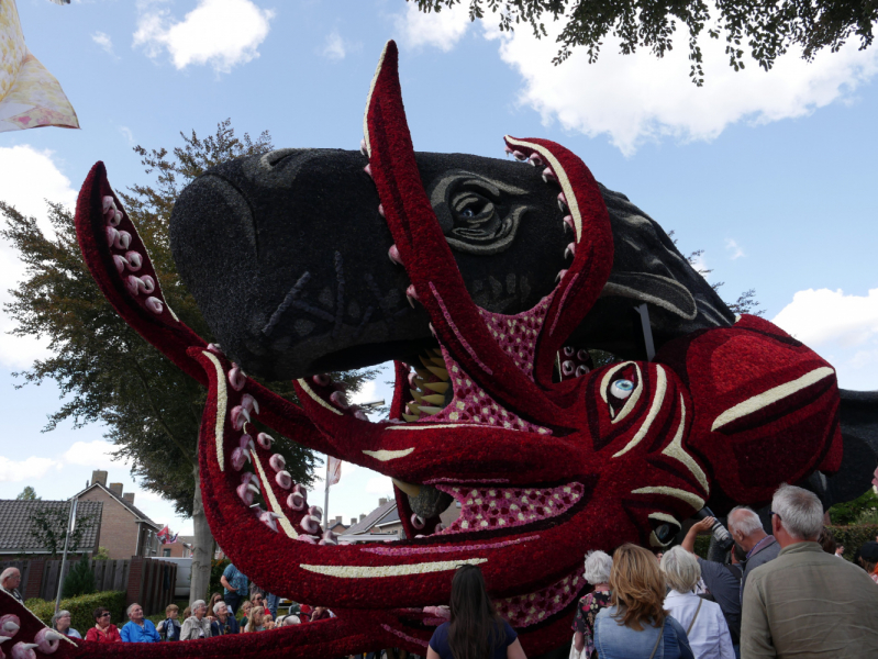 Цветочные парады Varend Corso (2017) и Corso Zundert (2017,2019) в Нидерландах