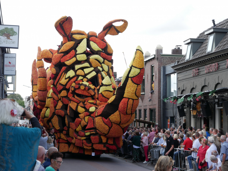 Цветочные парады Varend Corso (2017) и Corso Zundert (2017,2019) в Нидерландах