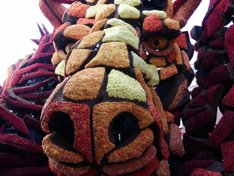 Цветочные парады Varend Corso (2017) и Corso Zundert (2017,2019) в Нидерландах