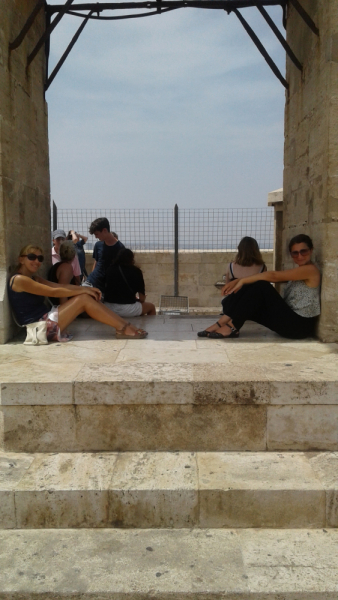 La mia vita. Римские записки, дневник онлайн