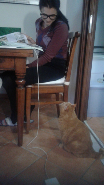 La mia vita. Римские записки, дневник онлайн