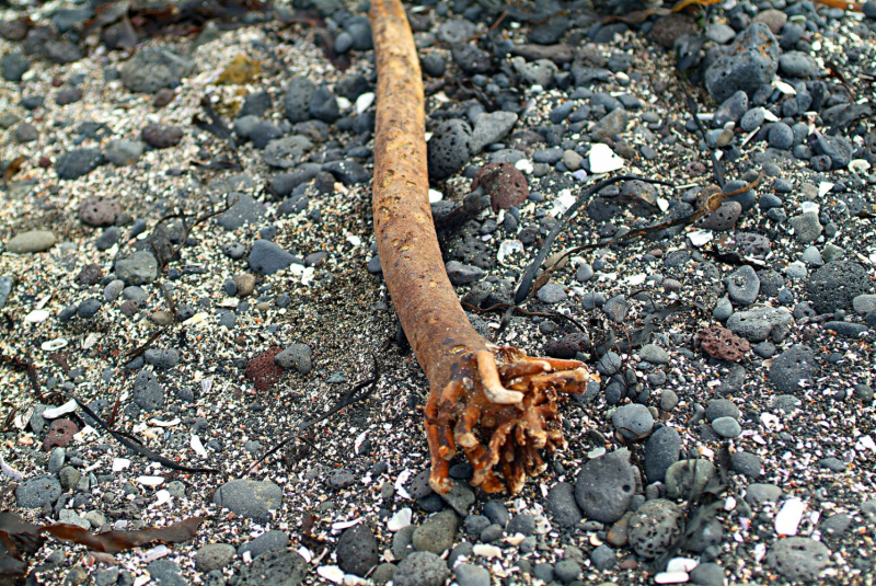 Рейкьявик и остров  Гротта в Селтьярнарнес...