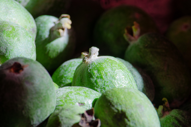 Грузия в октябре 2019. Много фото.