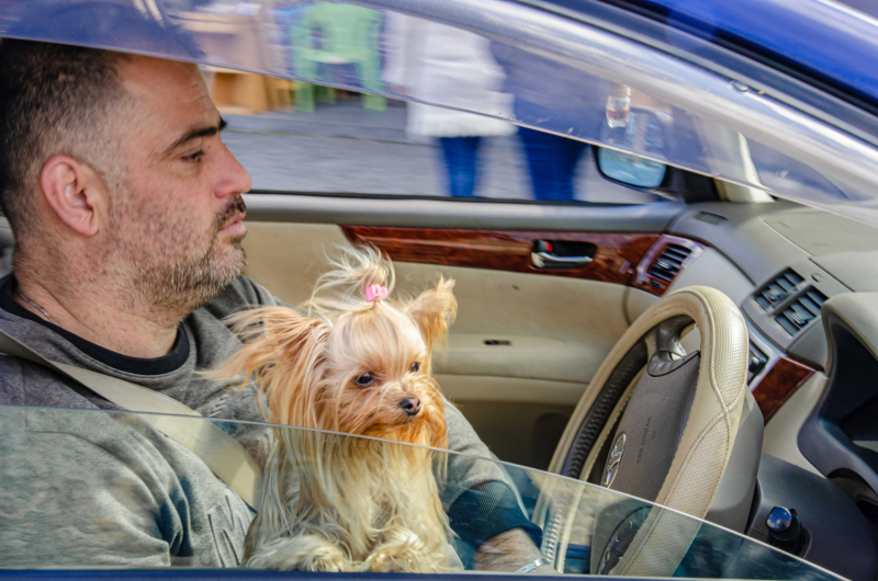 Грузия в октябре 2019. Много фото.