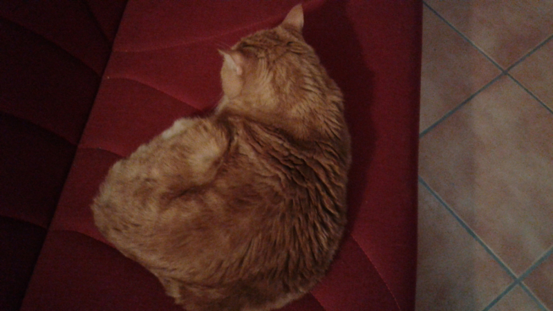 La mia vita. Римские записки, дневник онлайн