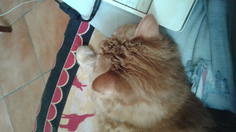 La mia vita. Римские записки, дневник онлайн