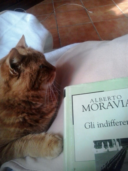 La mia vita. Римские записки, дневник онлайн