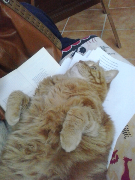 La mia vita. Римские записки, дневник онлайн