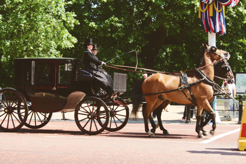 Больше Бена, или как мы ездили в Лондон в июле 2018 года