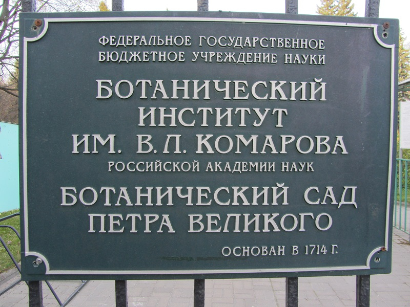 Цветочная терапия в условиях коронавируса или от весны до зимы все сезоны хороши 2020-2022 (Бонн-Брауншвейг-далее везде)