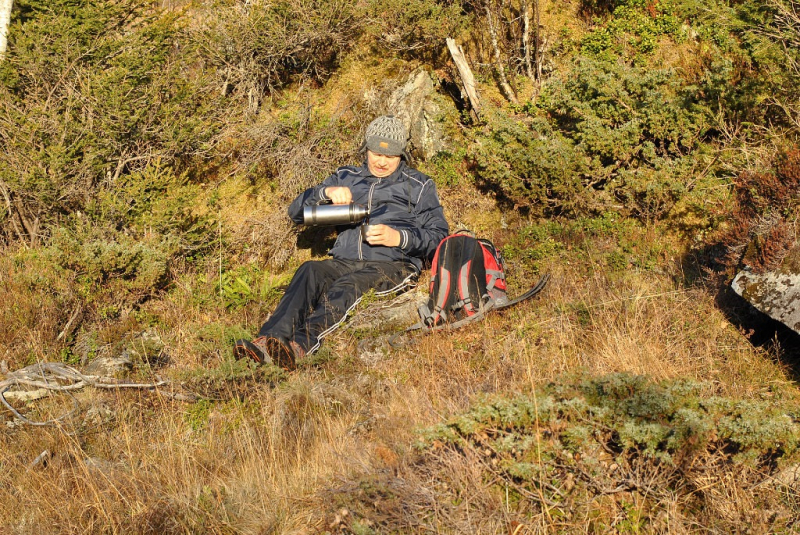 Окрестности Brønnøysund это не только Torghatten