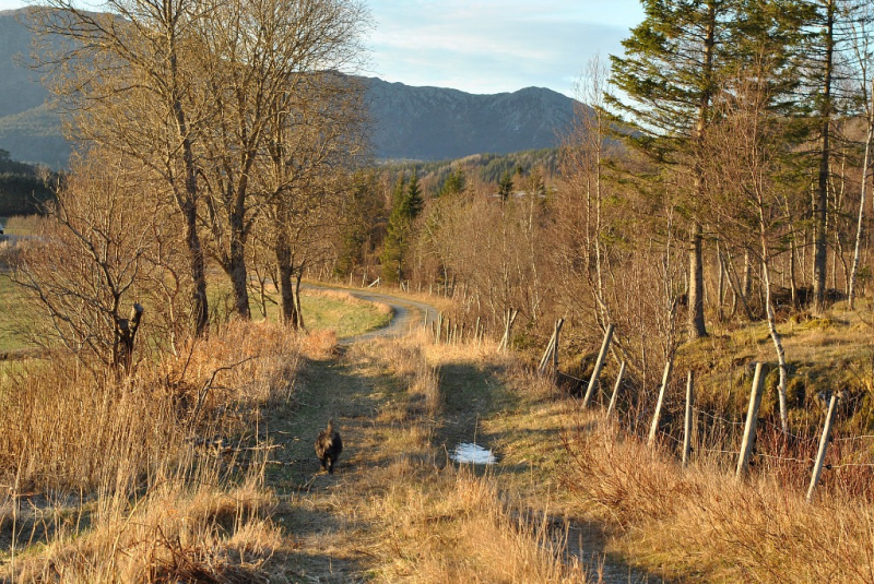 Окрестности Brønnøysund это не только Torghatten
