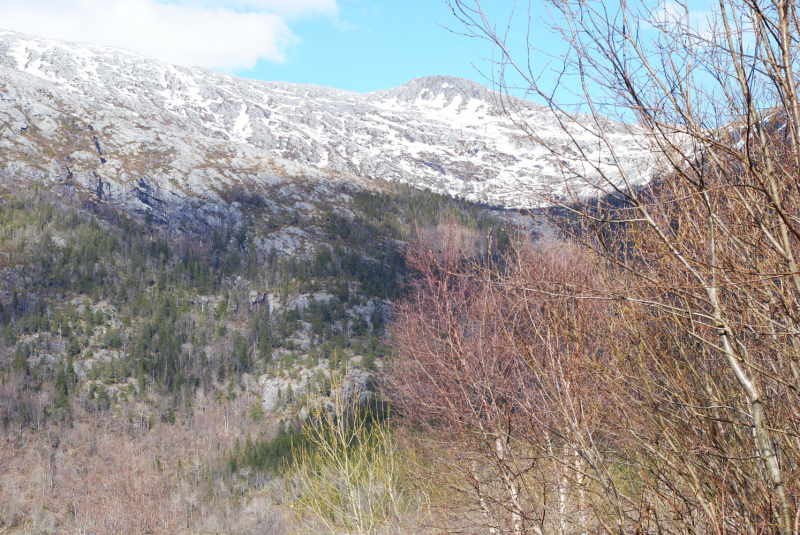 Окрестности Brønnøysund это не только Torghatten