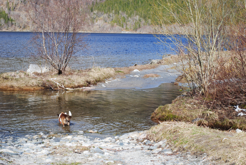 Окрестности Brønnøysund это не только Torghatten