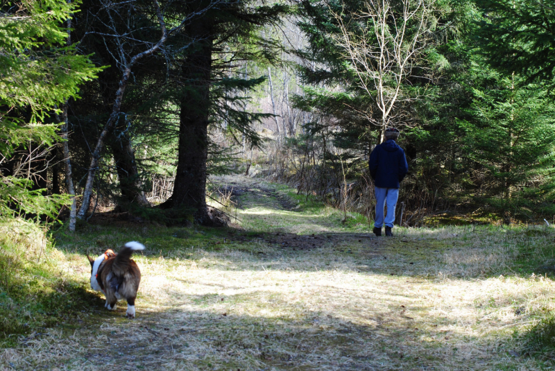 Окрестности Brønnøysund это не только Torghatten