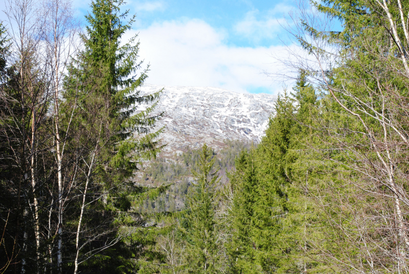 Окрестности Brønnøysund это не только Torghatten