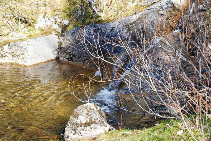 Окрестности Brønnøysund это не только Torghatten