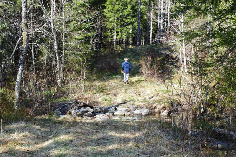 Окрестности Brønnøysund это не только Torghatten