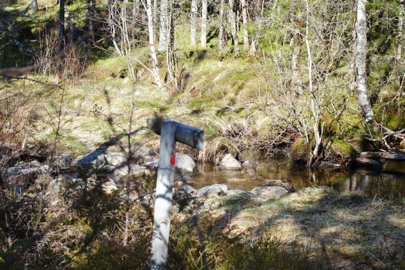 Окрестности Brønnøysund это не только Torghatten