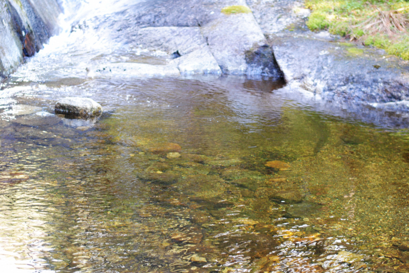 Окрестности Brønnøysund это не только Torghatten