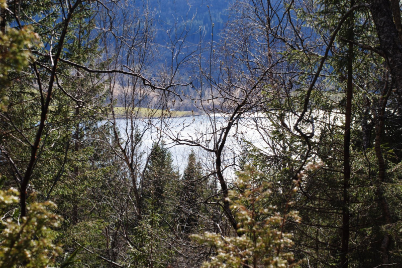 Окрестности Brønnøysund это не только Torghatten