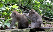 Детские каникулы в сезон дождей