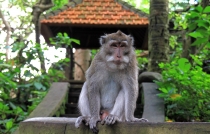 Детские каникулы в сезон дождей