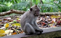 Детские каникулы в сезон дождей