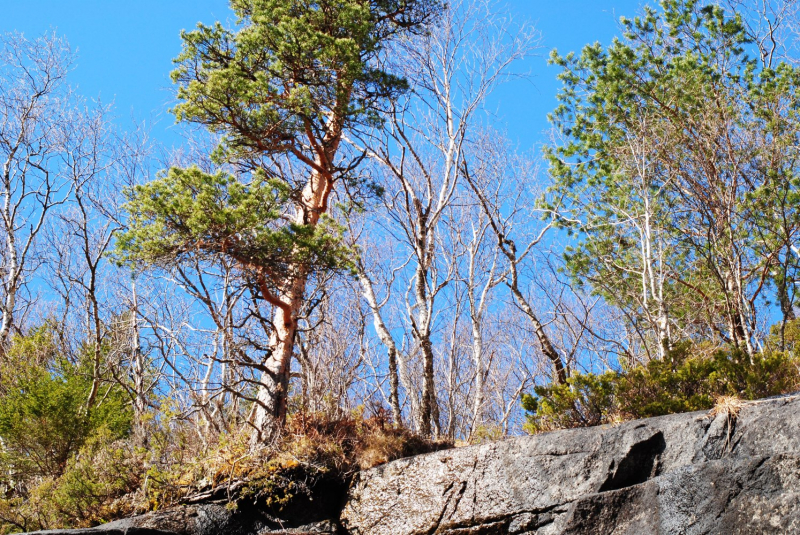 Окрестности Brønnøysund это не только Torghatten