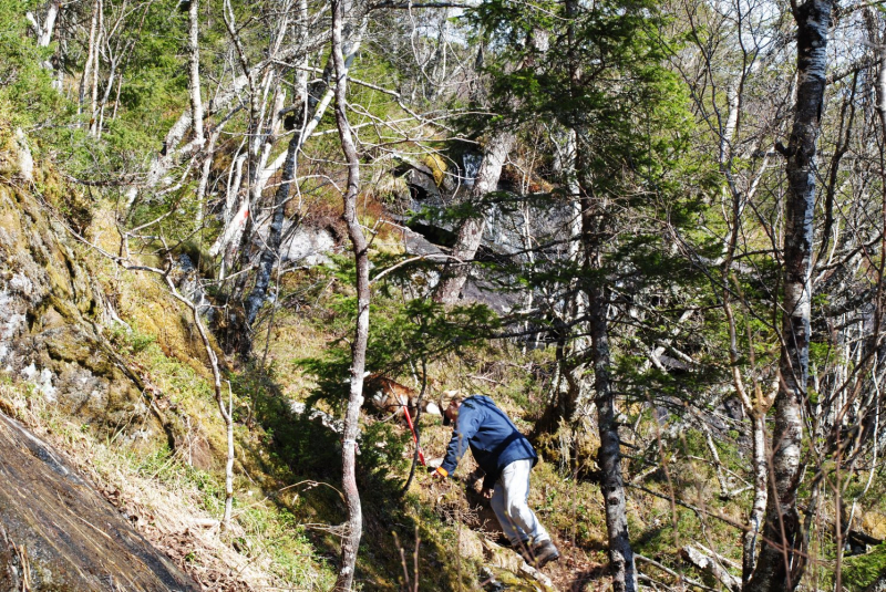 Окрестности Brønnøysund это не только Torghatten