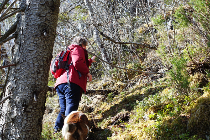 Окрестности Brønnøysund это не только Torghatten