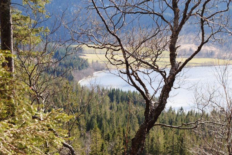 Окрестности Brønnøysund это не только Torghatten