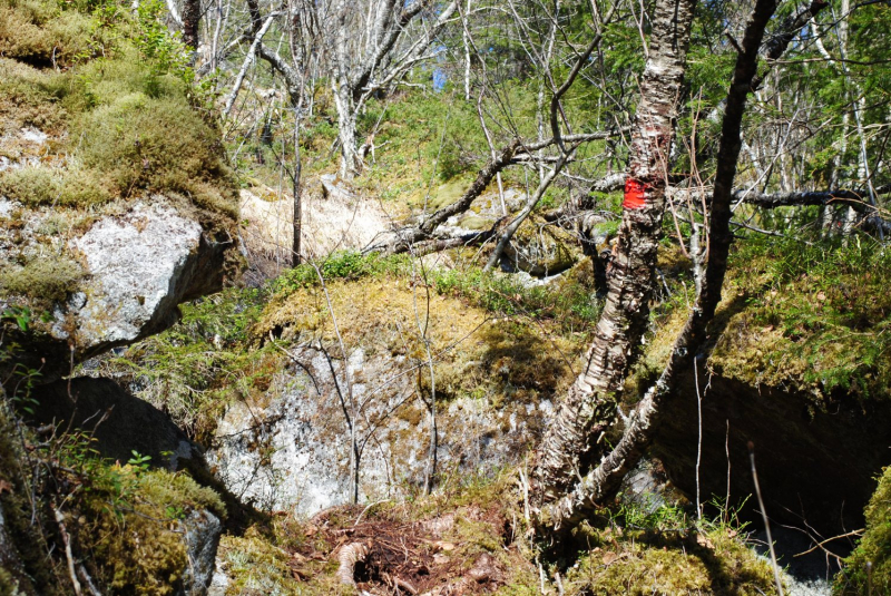 Окрестности Brønnøysund это не только Torghatten