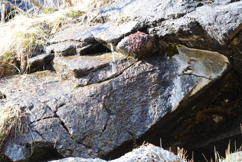 Окрестности Brønnøysund это не только Torghatten