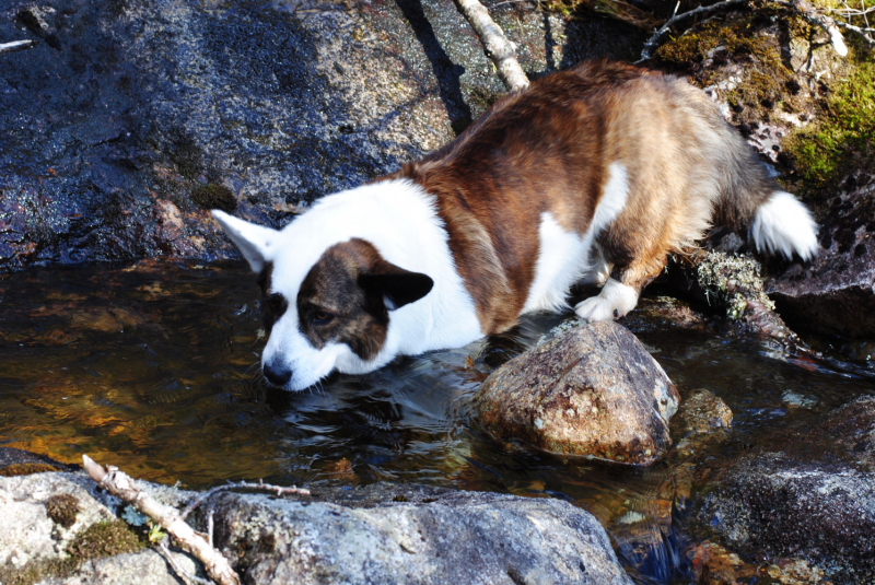 Окрестности Brønnøysund это не только Torghatten