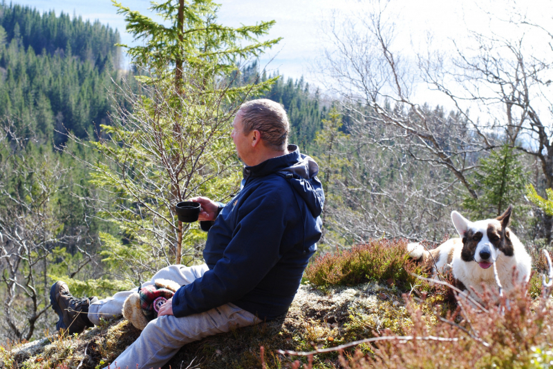 Окрестности Brønnøysund это не только Torghatten