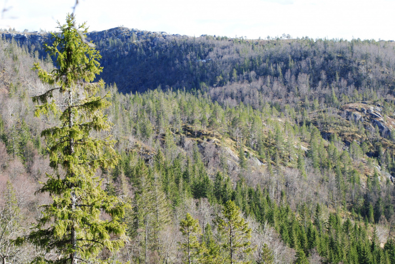 Окрестности Brønnøysund это не только Torghatten
