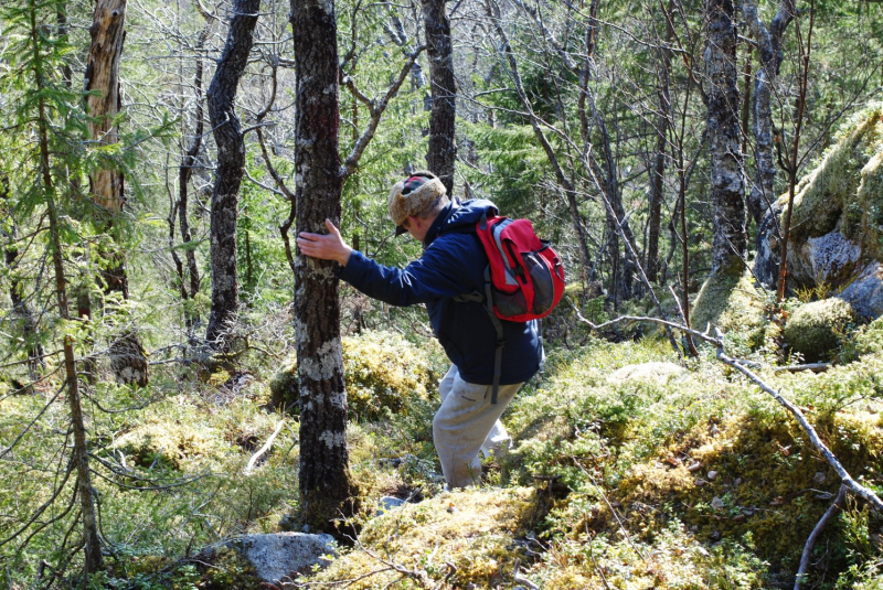 Окрестности Brønnøysund это не только Torghatten
