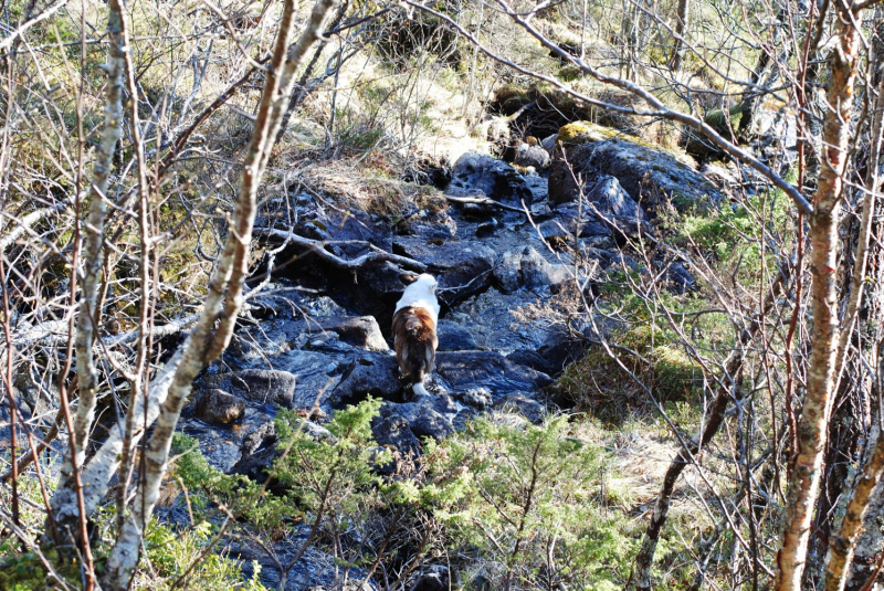 Окрестности Brønnøysund это не только Torghatten