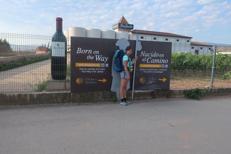 Camino de Santiago 2019. Сен-Жан-Пье-де-Порт  -   Сантьяго (+ Финистерра)