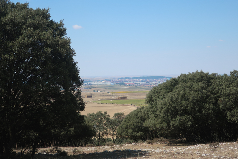 Camino de Santiago 2019. Сен-Жан-Пье-де-Порт  -   Сантьяго (+ Финистерра)