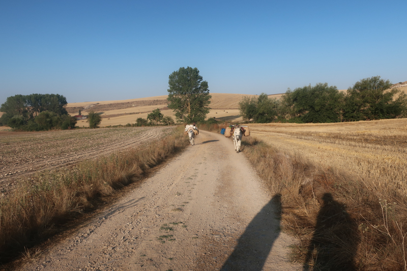 Camino de Santiago 2019. Сен-Жан-Пье-де-Порт  -   Сантьяго (+ Финистерра)